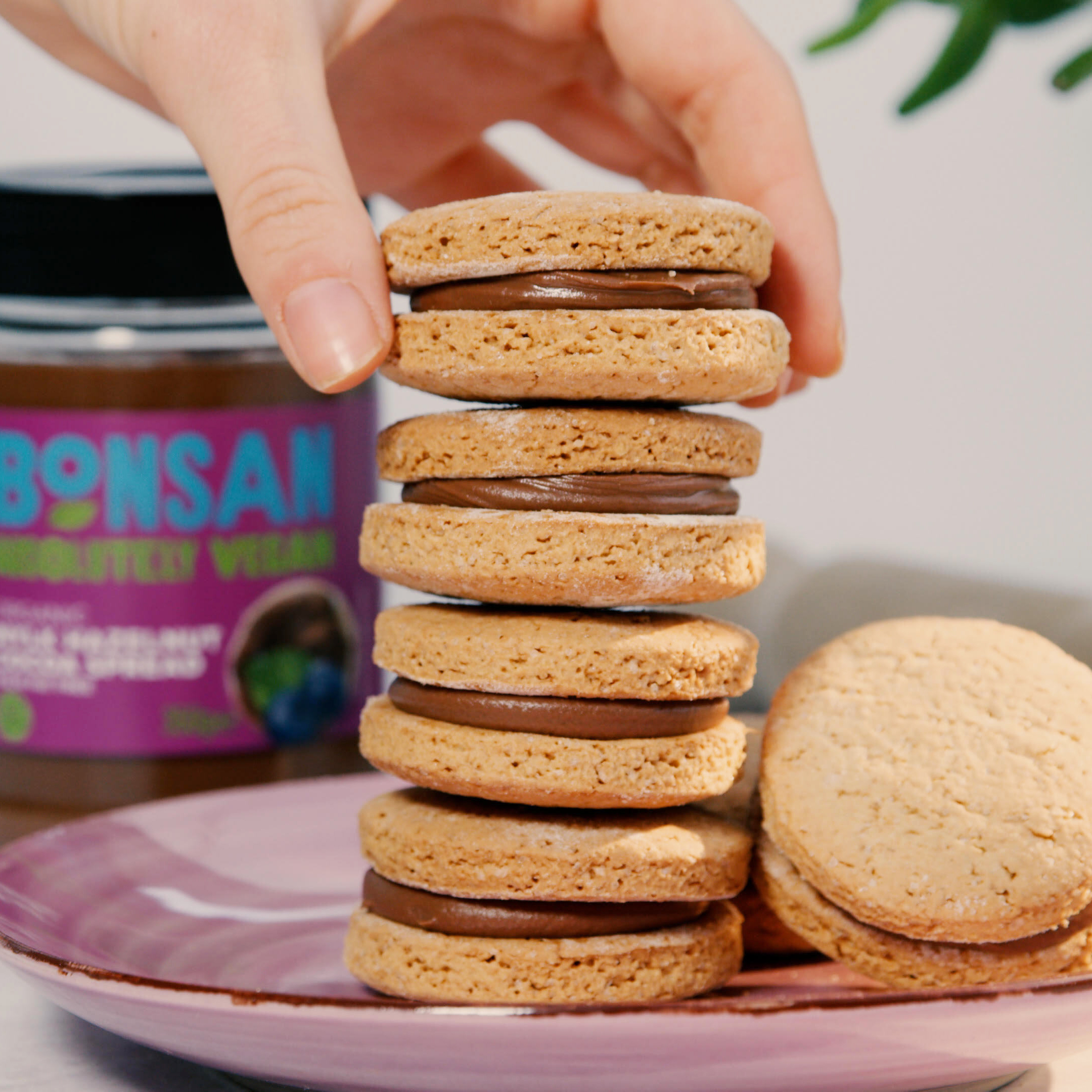 BONSAN VEGAN 'NUTELLA' COOKIES | Bonsan Absolutely Vegan